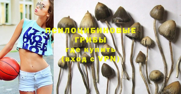 стафф Алексеевка