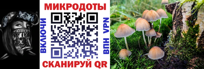 где найти Алейск блэк спрут рабочий сайт Псилоцибиновые грибы прущие грибы